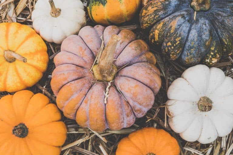 DIY French Yellow Clay Glowing Face Mask Recipe With Pumpkin And Turmeric.