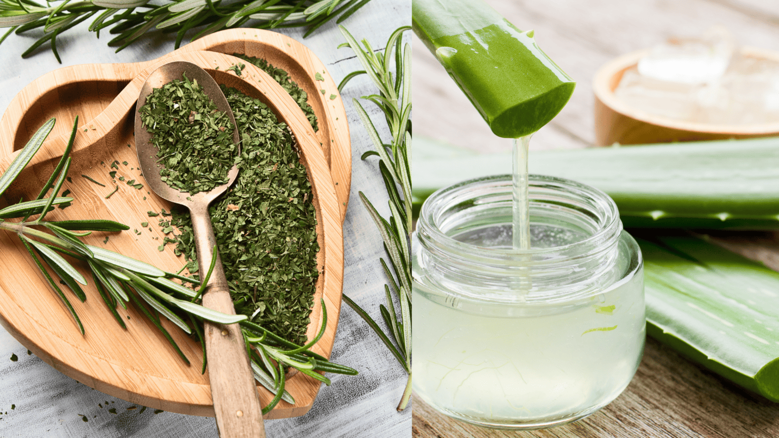 The Best Ways To Use Rosemary For Hair Growth! | A Green Beauty Blog
