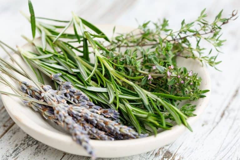 How To Make Herb Hair Rinses!