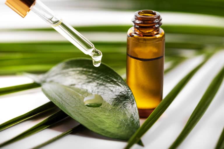 How To Use Tea Tree Oil for Beautiful Skin and Hair!