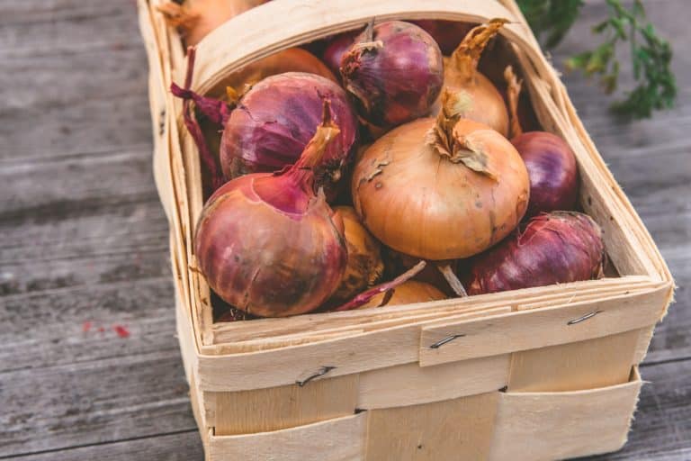 What Type Of Onions Are The Best For Hair Growth?