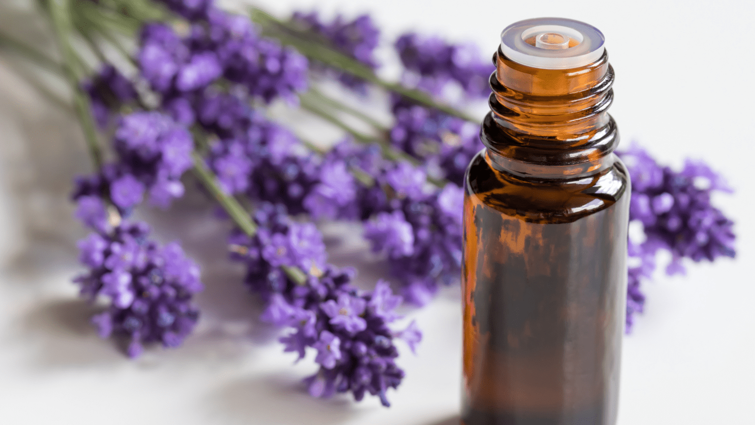 The Benefits Of Lavender Essential Oil For Hair Growth! A Green