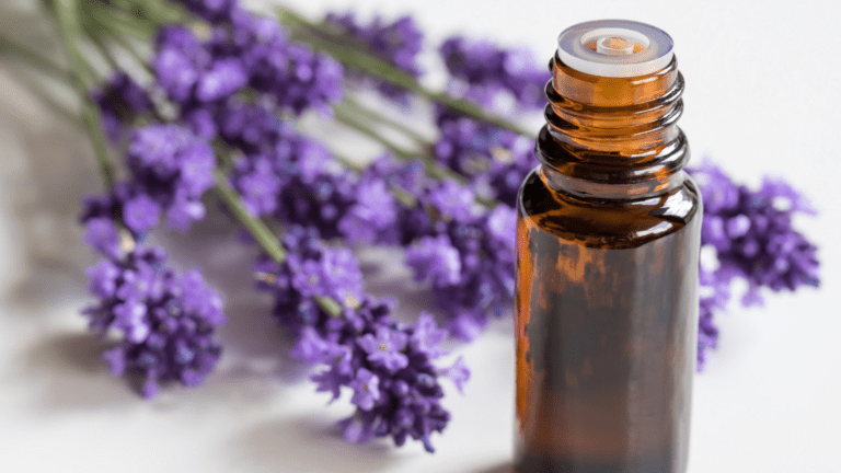 The Benefits Of Lavender Essential Oil For Hair Growth! | A Green ...