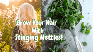 How To Grow Hair With Stinging Nettle! | A Green Beauty Blog