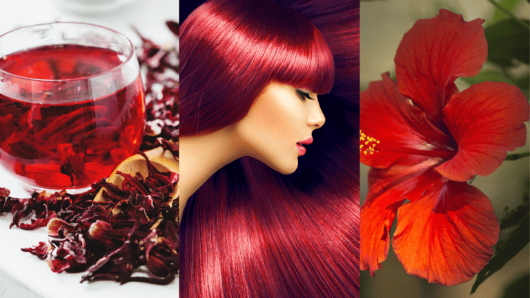 How To Grow Your Hair With Hibiscus!