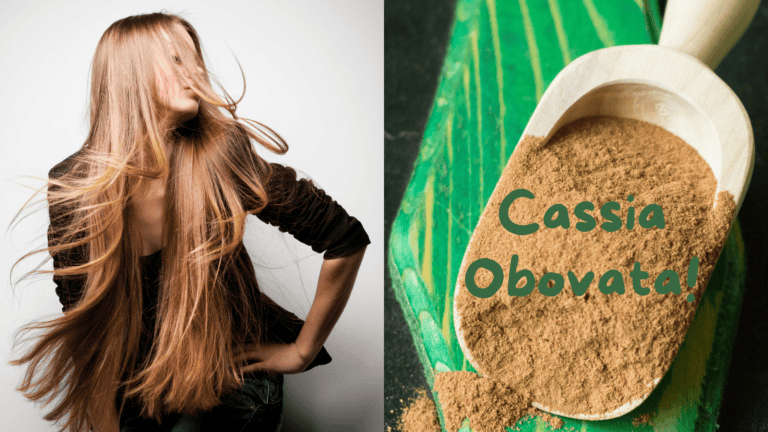 The Benefits of Cassia Obovata for Thicker Hair Growth!